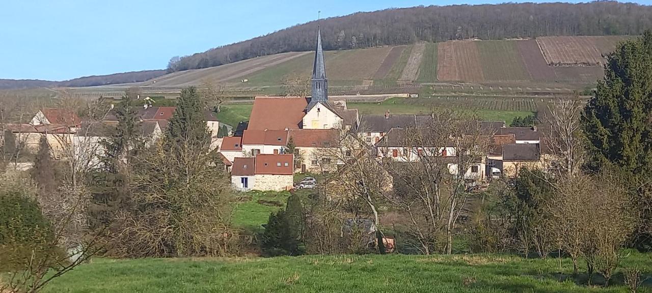 Gite Du Bel Air Festigny  Экстерьер фото